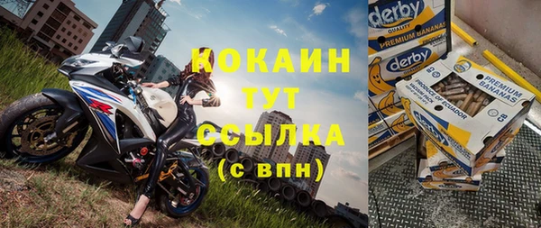 твердый Алзамай