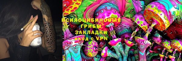 соль ск Алексеевка