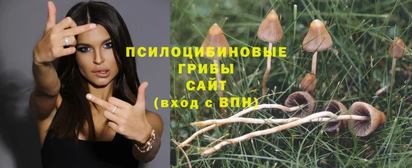 трава Алексин