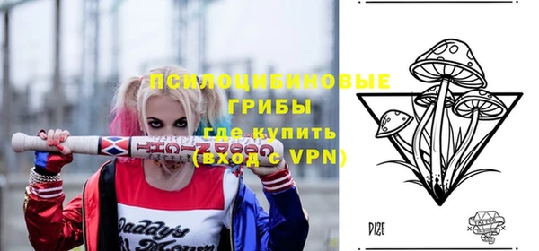 твердый Алзамай
